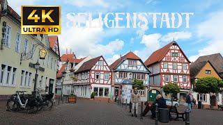 SELIGENSTADT Hessen Germany 4K 23042023 walkingtour radtour [upl. by Nnoved931]