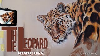 quotTHE LEOPARDquot Colored Pencil Drawing [upl. by Mcgill]