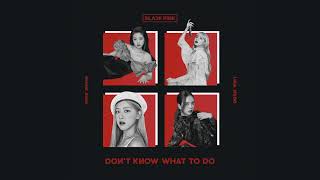 BLACKPINK  Dont know What To Doofficial instrumental [upl. by Kcirdes]