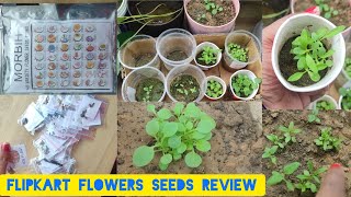 Flipkart flower seeds 30days reviewonline seeds review unboxing online 40varieties of flower seeds [upl. by Earle]