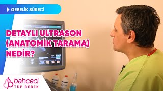 Detaylı Ultrason Anatomik Tarama Nedir  Bahçeci Tüp Bebek Merkezi [upl. by Eltrym166]