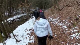 Gerard Hiking Trail  Oil Creek State Park Pennsylvania [upl. by Euqirrne125]