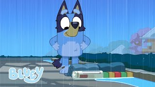 Episodios de Wholesome Bluey  Bluey Español Canal Oficial [upl. by Renie]