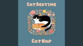 Dreamy Cat Naps [upl. by Trub]