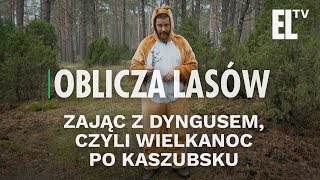 Zając z dyngusem czyli Wielkanoc po kaszubsku  Oblicza Lasów 48 [upl. by Matrona]