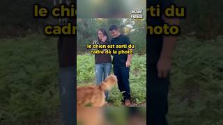 Ce mari demande sa femme en mariage avec la complicité de son chien [upl. by Trenna]