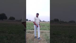 char Dino ka pyar o Rabba bollywood song shortfilm status [upl. by Aerdna148]