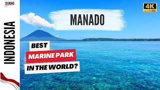 🇮🇩 TOP 8 THINGS TO DO IN MANADO INDONESIA BUNAKEN MARINE PARK AND MORE 🤿 🌊🏝🐠🐒🌋🌆 [upl. by Gareri82]