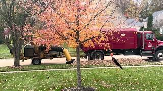 Leaf vacuum truck truck vacuum fall [upl. by Selimah]