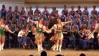 quotКалинкаquot Ансамбль Локтева quotKalinkaquot Loktev Ensemble 20140503 [upl. by Ahscrop355]