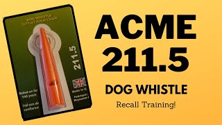 Acme 2115 Dog Whistle Review Teaching Recall [upl. by Zsuedat]