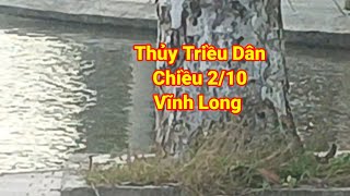 Thủy triều dân chiều 210 vĩnh long [upl. by Melac45]