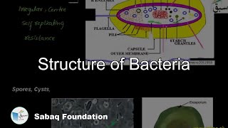 More on Structure of Bacteria Biology Lecture  Sabaqpk [upl. by Esiuole]