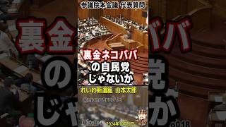 山本太郎『奥能登の豪雨災害を放置して総選挙を強行した裏金ネコババ自民党 能登半島に特化した補正予算を理事会協議事項にしたのは れいわ新選組のみ この政策提出を邪魔した立憲民主党も一緒に滅んでください』 [upl. by Dixil]