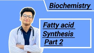 Fatty acid synthesis part 2 [upl. by Eilahs]