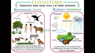 BIOCENOSIS Y BIOTOPO [upl. by Mclain132]