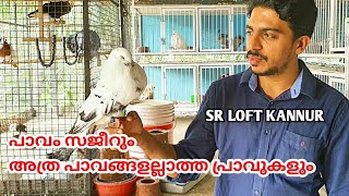 SR LOFTപാവം സജീറും അത്ര പാവങ്ങളല്ലാത്ത പ്രാവുകളുംNIBIN AUGUSTINE [upl. by Dorehs559]