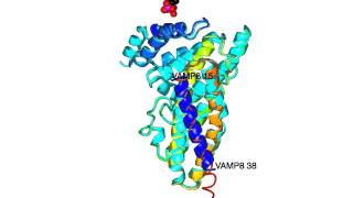 Epsin AP180 N terminal homology domain for PIP2 binding with sound [upl. by Radman]