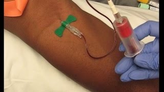 Phlebotomy Procedure Venipuncture with 21G Butterfly education phlebotomy tutorials [upl. by Rowley]