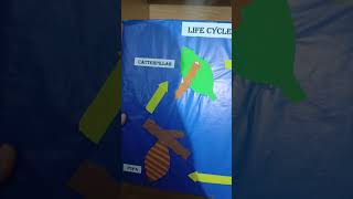 Life cycle of butterfly making idea for biology labart painting love craft paint diy shorts [upl. by Robinett848]