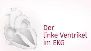 Der linke Ventrikel im EKG – EKG befunden  ekgtraining [upl. by Wakeen]