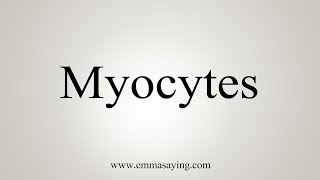 How To Say Myocytes [upl. by Starinsky736]