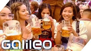 Oktoberfest  Wer hat am Meisten verdient  Galileo  ProSieben [upl. by Gonta]