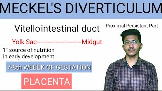 Meckels Diverticulum made easy  Embryology  Anatomy [upl. by Mihcaoj]