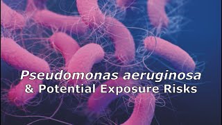 Pseudomonas aeruginosa and Potential Exposure Risks [upl. by Ras]