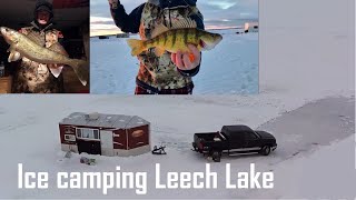 Ice Camping on Leech Lake for big Walleye and Jumbo Perch [upl. by Neersan372]