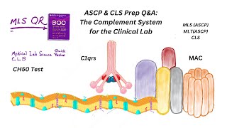 ASCP QampA of Complement System for the Clinical Lab [upl. by Ann926]