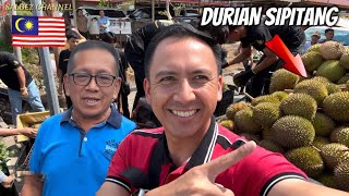 Unlimited Musang King ⁉️Pemilik Gerai Sedekah Durian Malaysia Yang Sangat Pemurah 🇲🇾 [upl. by Nillor]