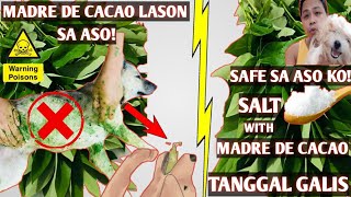 MADRE DE CACAO LASON SA ASO [upl. by Buskus705]