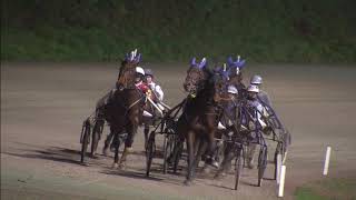 Victoria Park Wolvega 10012020 Koers 6 Just Dream  Dion Tesselaar [upl. by Lymn]