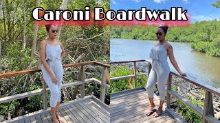 Tour of the Caroni Boardwalk Trinidad  Trinidad YouTuber [upl. by Eignat]