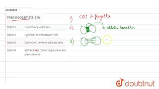 Plasmodesmata are [upl. by Vidda]