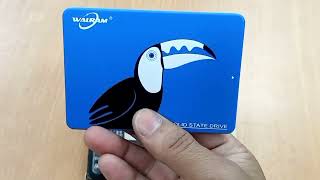 Walram SSD 120GB Review  Ali Express Cheap SSD  Speed Test  Health Check  Buy or Ignore [upl. by Bonney]