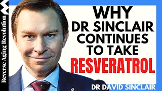 WHY Dr Sinclair Continues To Take RESVERATROL  Dr David Sinclair Interview Clips [upl. by Larok]