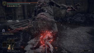 Greatsword of solitude 10 Damage is wild [upl. by Olympie]