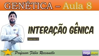 Interação Gênica  Herança Complementar e Epistasia Genética aula 8 de 12 genetica biologia [upl. by Jacquetta]