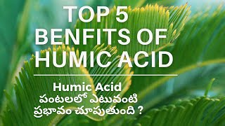 Humic Acid uses in agriculture [upl. by Arfihs]