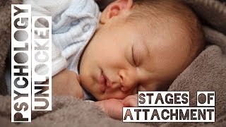 How Babies Form Attachments  Four Stages  Schaffer amp Emerson [upl. by Kathryne283]