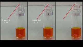 Oxidation of Alcohols and Breathalyzer [upl. by Macdonald]