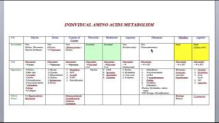 Protein Metabolism Session 20INDIVIDUAL AMINO ACIDS METABOLISM [upl. by Womack255]