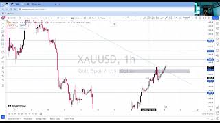 MARKET OUTLOOK FOR XAUUSD ON 20112024 [upl. by Nirrad850]