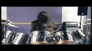 Cadbury gorilla ad [upl. by Senga]