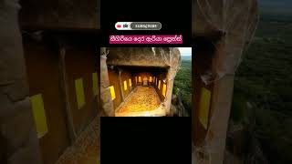 හංගපු රජ මාළිගාවෙ දොර ඇරියා ප්‍රෙන්ස්💪 shorts srilanka sigiriya trending viralvideo alex [upl. by Yesdnil]