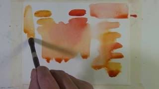 Quick Tip Favorite Color Mixes Quinacridone Gold and Quinacridone Coral [upl. by Eissirk]