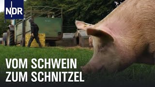 Schweinefleisch Vom Ferkel zum Bioschnitzel  Wie geht das  NDR [upl. by Gilmer358]