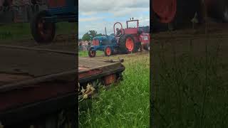 Tractor pulling at Kelsall steam rally 2023 tractor diesel trending viral [upl. by Ladnik]